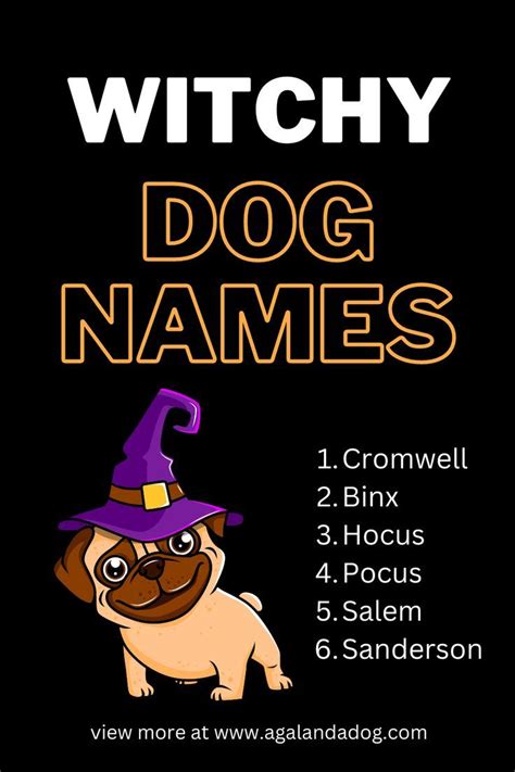 The Witch's Guide to Naming Your Dog: Spooky and Spellbinding Choices